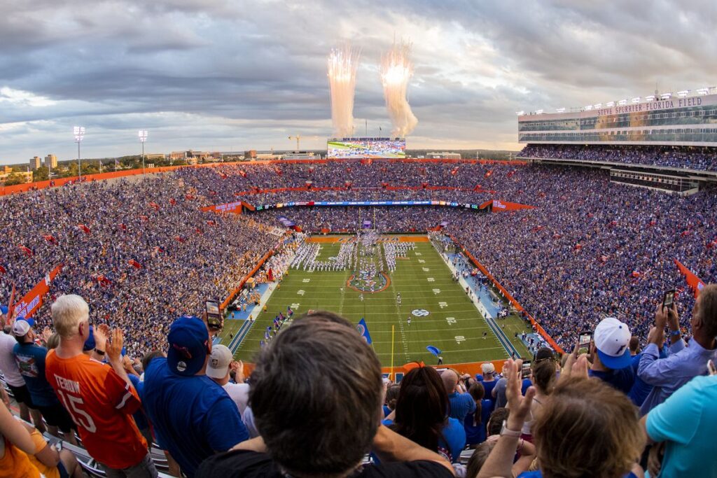 the swamp